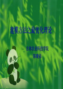 1最优化理论