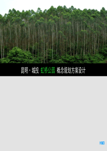 昆明・城投 虹桥公园地块 概念规划方案设计(最终)