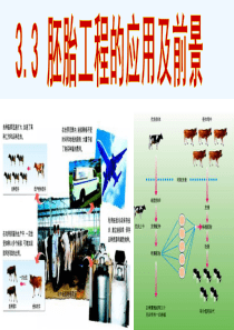 3.3胚胎工程的应用及前景(新)