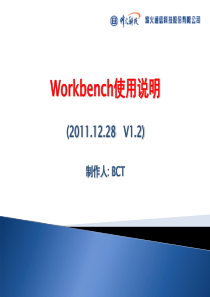 Workbench使用说明V1-3