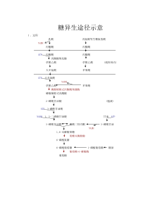 糖异生途径示意