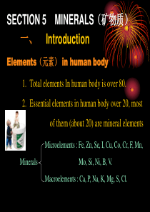 MINERALS(矿物质)