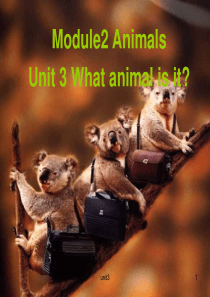 Unit3-What-animal-is-it