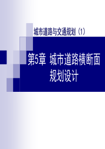 3城市道路与交通规划第五章