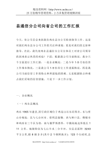 县通信分公司向省公司的工作汇报(doc 12)