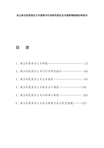 设立典当有限责任公司章程可行性研究报告及内部管理制度材料范本