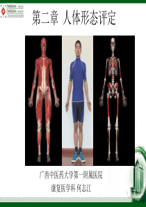 第二章人体形态评定