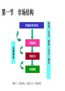 第四章 市场结构、行为与绩效(苏东水)