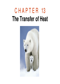 C H A P T E R 13 The Transfer of Heat