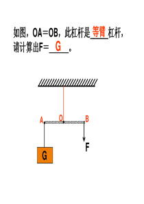 11.3滑轮