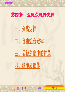 第4章_孟德尔遗传定律(1)