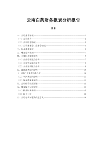 财务报表分析 范例