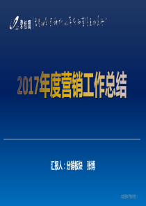 碧桂园营销年度工作总结(分销渠道)