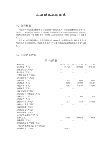 83公司财务分析报告