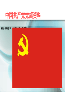 虞沛然-中国共产党党旗