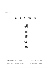 XX铜矿项目建议书(1)