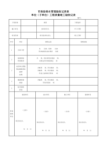 市政给排水管道验收记录表-完整版