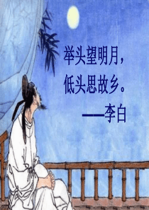 《水调歌头(明月几时有)》课件