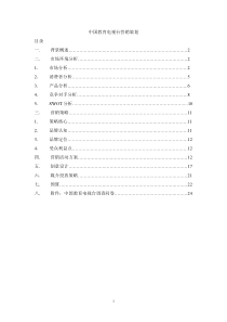 中国教育电视台营销策划