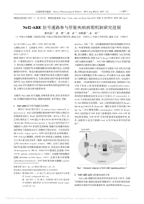 Nrf2_ARE信号通路参与肝脏疾病病理机制研究进展_曹玲娟