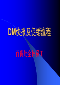 DM快报及促销流程