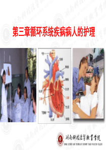 第三组 第九节 心肌病病人的护理