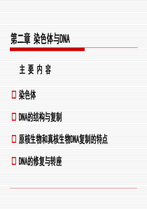 2章分子生物学染色体与DNA