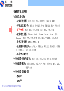 安达信-东方通信战略规划报告(客户分析)