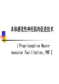 PNF技术