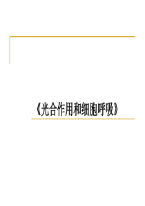 《光合作用和呼吸作用》专题复习讲座