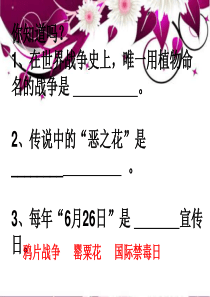 珍爱生命 远离毒品――初2016届3班禁毒主题班会