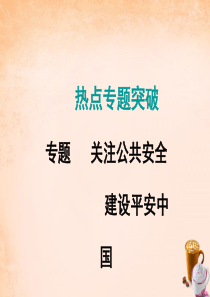 【2017年中考政治总复习】《关注公共安全,建设平安中国》ppt课件