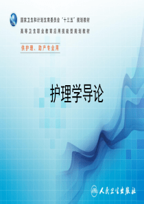 第十二章 莱宁格的跨文化护理理论