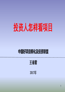 投资人怎样看项目分析