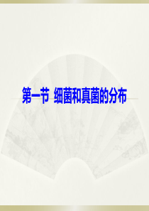 第一节细菌和真菌的分布课件.ppt