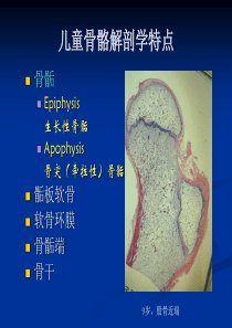 生物医学儿童骨关节创伤的影像诊断