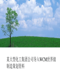 某大型化工集团公司导入WCM世界级制造策划资料