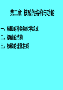 第二章     核酸的结构