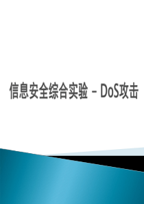 信息安全综合实验 - DoS攻击