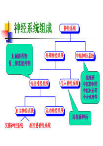 药物化学_北大04