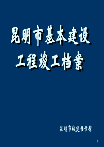 芮艺綦城建档案演示20110511