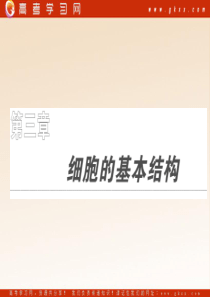 2011年高考生物一轮复习同步课件必修1：第3章  第1、3节  细胞膜――系统的边界 细胞核