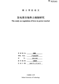 发电商市场势力规制研究