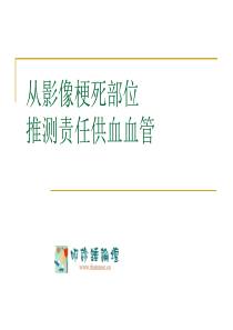 从影像梗死部位推测责任供血血管