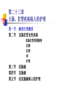 第二十三章 大肠、肛管疾病病人的护理