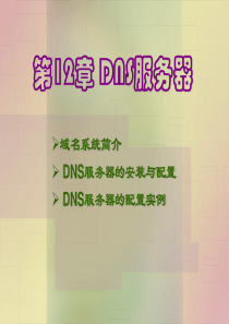 第12章 DNS服务器