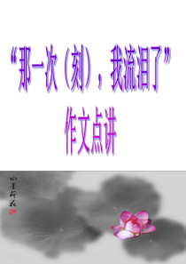 2013那一次我流泪了点评