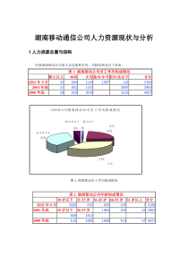 湖南移动通信公司人力资源现状与分析