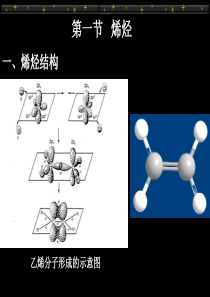 烯烃炔烃和二烯烃