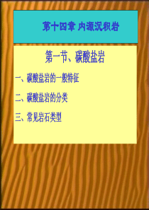 《岩石学》第14章 内源沉积岩